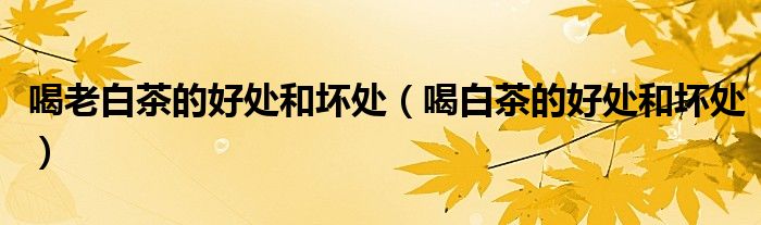 喝老白茶的好處和壞處（喝白茶的好處和壞處）
