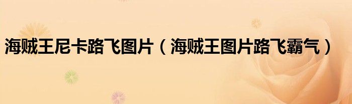 海賊王尼卡路飛圖片（海賊王圖片路飛霸氣）