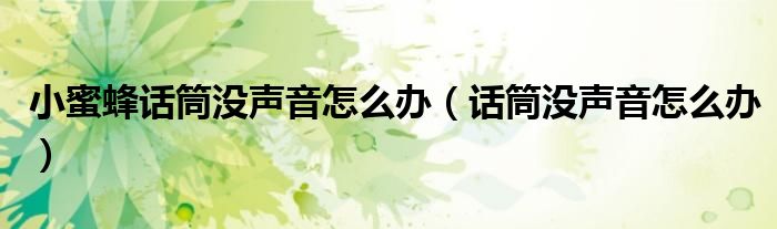 小蜜蜂話筒沒聲音怎么辦（話筒沒聲音怎么辦）