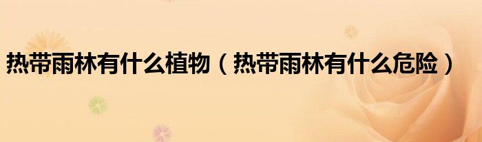 熱帶雨林有什么植物（熱帶雨林有什么危險(xiǎn)）
