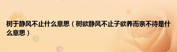 樹于靜風(fēng)不止什么意思（樹欲靜風(fēng)不止子欲養(yǎng)而親不待是什么意思）