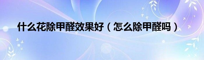什么花除甲醛效果好（怎么除甲醛嗎）