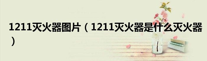 1211滅火器圖片（1211滅火器是什么滅火器）