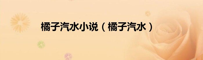 橘子汽水小說（橘子汽水）