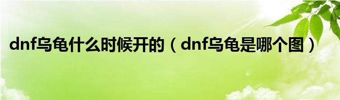 dnf烏龜什么時候開的（dnf烏龜是哪個圖）