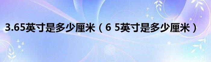 3.65英寸是多少厘米（6 5英寸是多少厘米）