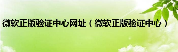 微軟正版驗(yàn)證中心網(wǎng)址（微軟正版驗(yàn)證中心）