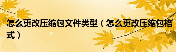 怎么更改壓縮包文件類型（怎么更改壓縮包格式）