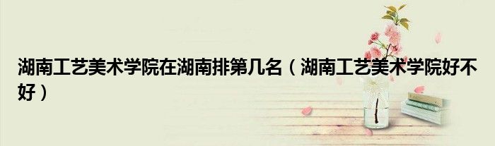 湖南工藝美術(shù)學(xué)院在湖南排第幾名（湖南工藝美術(shù)學(xué)院好不好）