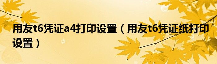 用友t6憑證a4打印設(shè)置（用友t6憑證紙打印設(shè)置）