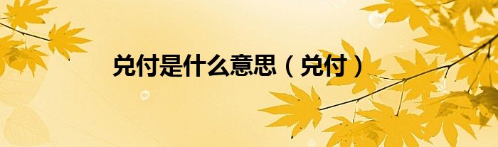 兌付是什么意思（兌付）