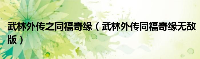 武林外傳之同福奇緣（武林外傳同福奇緣無(wú)敵版）