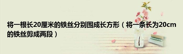 將一根長20厘米的鐵絲分別圍成長方形（將一條長為20cm的鐵絲剪成兩段）