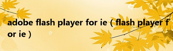 adobe flash player for ie（flash player for ie）