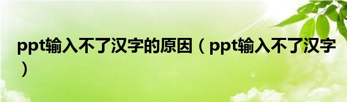 ppt輸入不了漢字的原因（ppt輸入不了漢字）