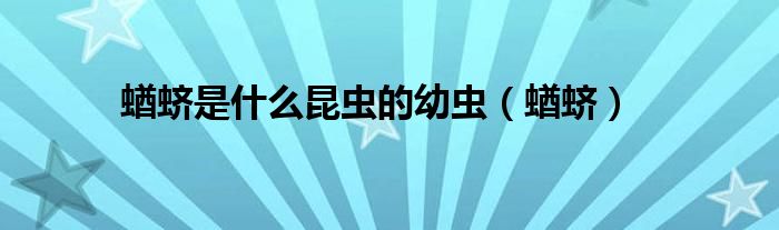 蝤蠐是什么昆蟲(chóng)的幼蟲(chóng)（蝤蠐）