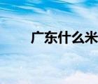 廣東什么米好吃（廣東人吃什么米）