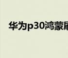 華為p30鴻蒙刷機(jī)包（華為s8600刷機(jī)包）