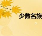 少數(shù)名族人口最多（少數(shù)名族）