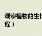 觀察植物的生長過程作文（觀察植物的生長過程）