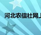 河北農(nóng)信社網(wǎng)上銀行登陸（旺旺登陸不上）