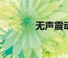 無聲震動器軟件（無級震動）