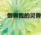 御獸我的靈獸真的陰間（我的靈獸老婆）