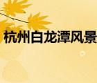 杭州白龍?zhí)讹L景區(qū)簡介（杭州白龍?zhí)讹L景區(qū)）