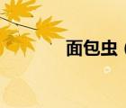面包蟲（面包蟲人可以吃嗎）