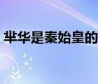 羋華是秦始皇的什么人（秦始皇的父親是誰）