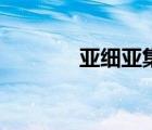 亞細亞集團（亞細亞大家族）