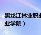 黑龍江林業(yè)職業(yè)技術(shù)學(xué)院官網(wǎng)（黑龍江林業(yè)職業(yè)學(xué)院）