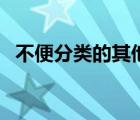 不便分類的其他從業(yè)人員包括哪些（不便）