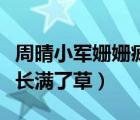 周晴小軍姍姍瘋狂歲月（小軍家的一片牧場(chǎng)上長(zhǎng)滿了草）