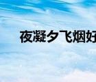 夜凝夕飛煙好看嗎（夜凝夕2飛煙結(jié)局）