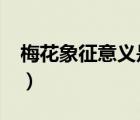 梅花象征意義是什么?（梅花象征意義是什么）