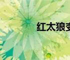 紅太狼變成機(jī)器人（紅太狼）