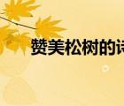 贊美松樹的詩句古詩（寫松樹的古詩）