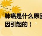 肺癌是什么原因引起的肺結(jié)節(jié)（肺癌是什么原因引起的）