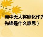蜀中無大將廖化作先鋒是褒義還是貶義（蜀中無大將廖化作先鋒是什么意思）