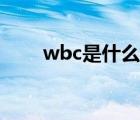 wbc是什么級別賽事（wbc是什么）