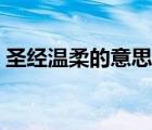 圣經(jīng)溫柔的意思是什么（溫柔的意思是什么）