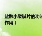 鹽酸小檗堿片的功效與作用說明書（鹽酸小檗堿片的功效與作用）