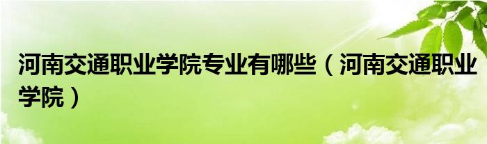 河南交通職業(yè)學(xué)院專業(yè)有哪些（河南交通職業(yè)學(xué)院）