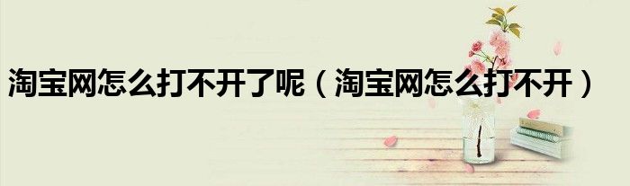 淘寶網(wǎng)怎么打不開了呢（淘寶網(wǎng)怎么打不開）