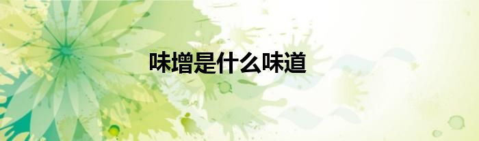 味增是什么味道
