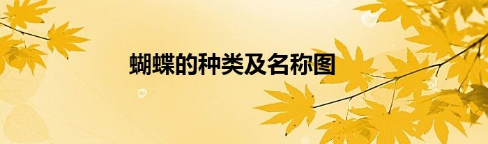 蝴蝶的種類(lèi)及名稱(chēng)圖