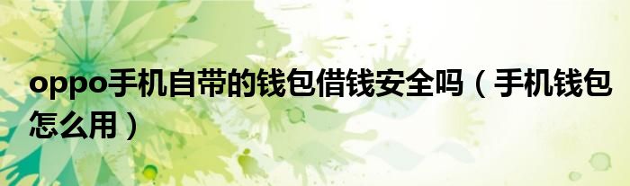 oppo手機(jī)自帶的錢包借錢安全嗎（手機(jī)錢包怎么用）
