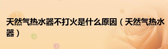 天然氣熱水器不打火是什么原因（天然氣熱水器）
