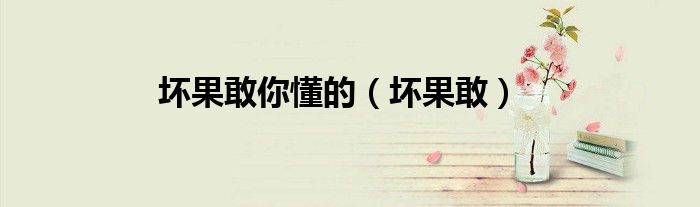 壞果敢你懂的（壞果敢）
